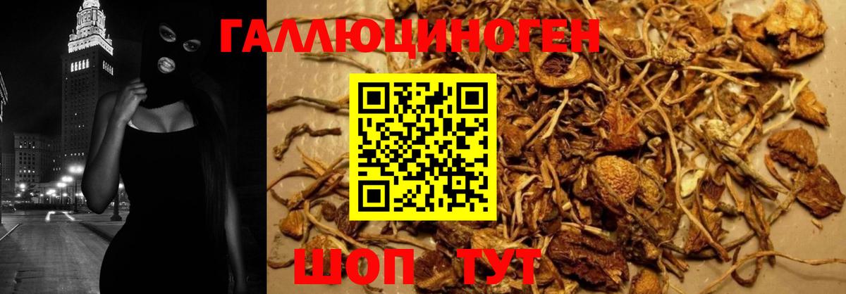 Псилоцибиновые грибы GOLDEN TEACHER  Вход с VPN  купить наркотик  Воронеж 