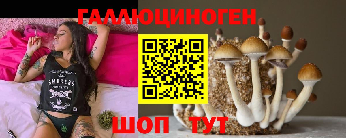 Галлюциногенные грибы ЛСД Воронеж